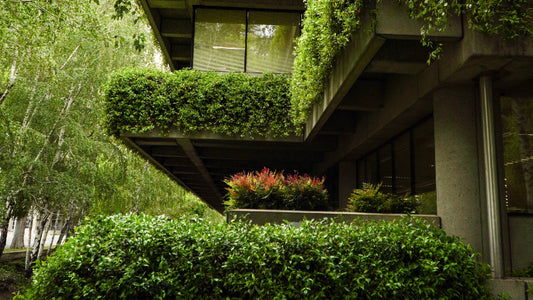 Sustainable Scents: Eco-Friendly Architecture and Its Connection to Home Perfumes