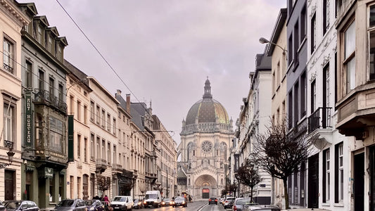 Art Nouveau in Brussels: Admiring the Architectural Elegance of Horta's Houses