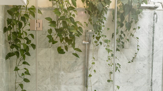 Scented Showers: Aromatherapy Tips for Transforming Your Daily Bathing Ritual