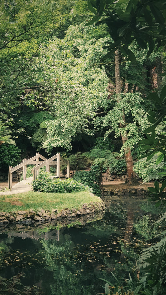 Perfumed Gardenscapes: Using Home Perfumes to Transform Outdoor Spaces