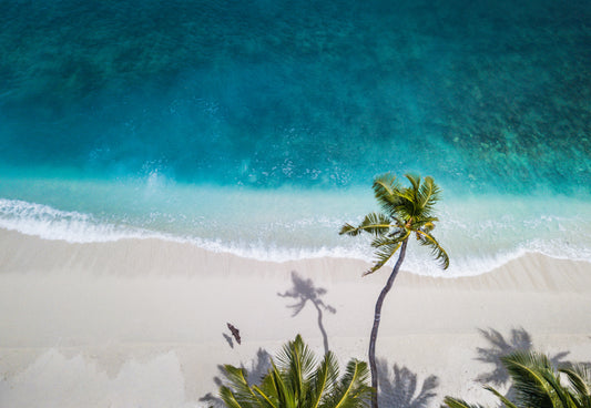Summer Escapes: Tropical and Exotic Home Perfumes to Transport You to Paradise