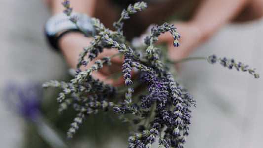 Aromatherapy for Serenity: Creating a Relaxing Haven with Calming Scents
