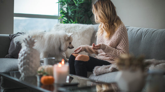 Scented Styling: How Home Perfumes Enhance Your Decorative Themes