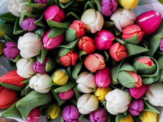 The Best Home Perfumes for Different Seasons and Climates