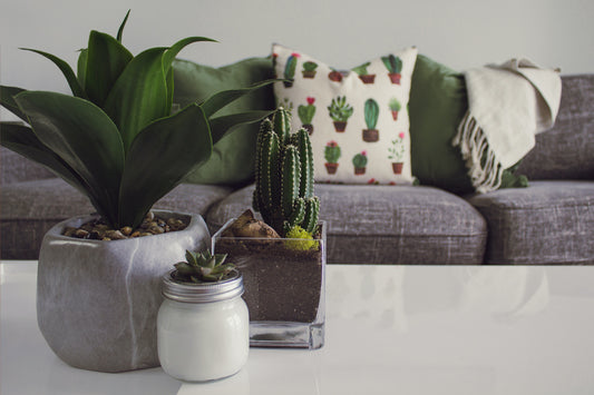 Fragrance Voyage: Exploring Global Decor Styles and Perfume Inspirations