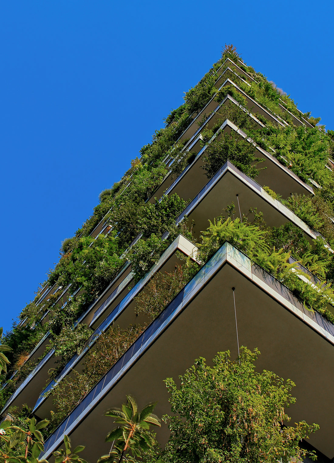 Eco-Friendly Aromas: Sustainable Architecture that Integrates Natural Scents
